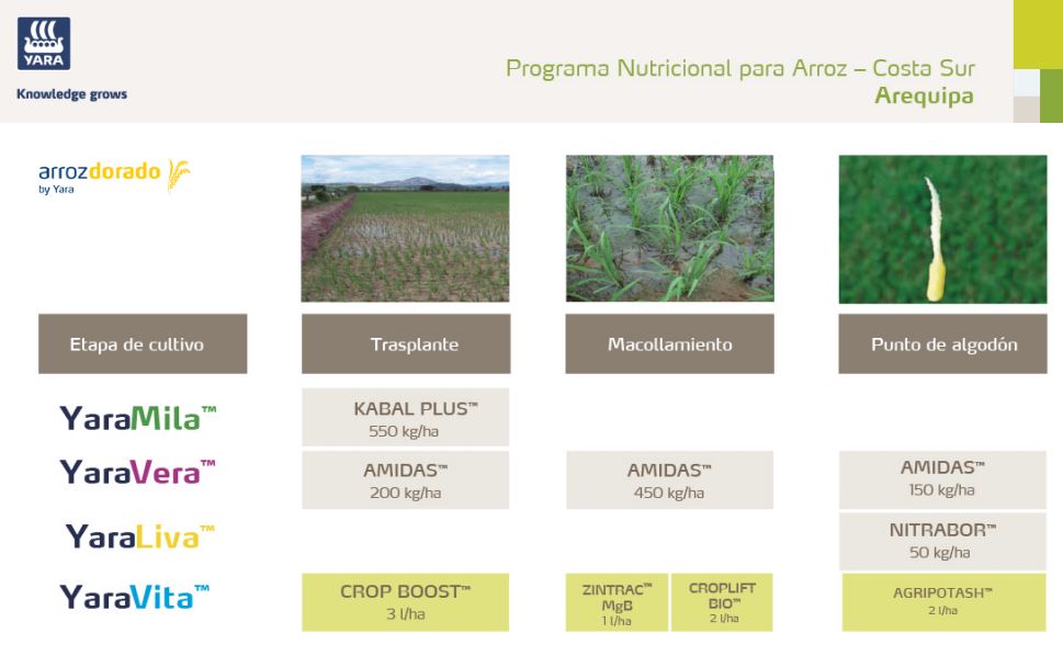 Arroz costa sur Arequipa