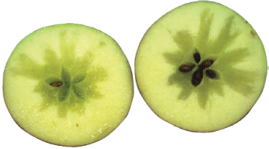 Reducir ocurrencia de corazón acuso